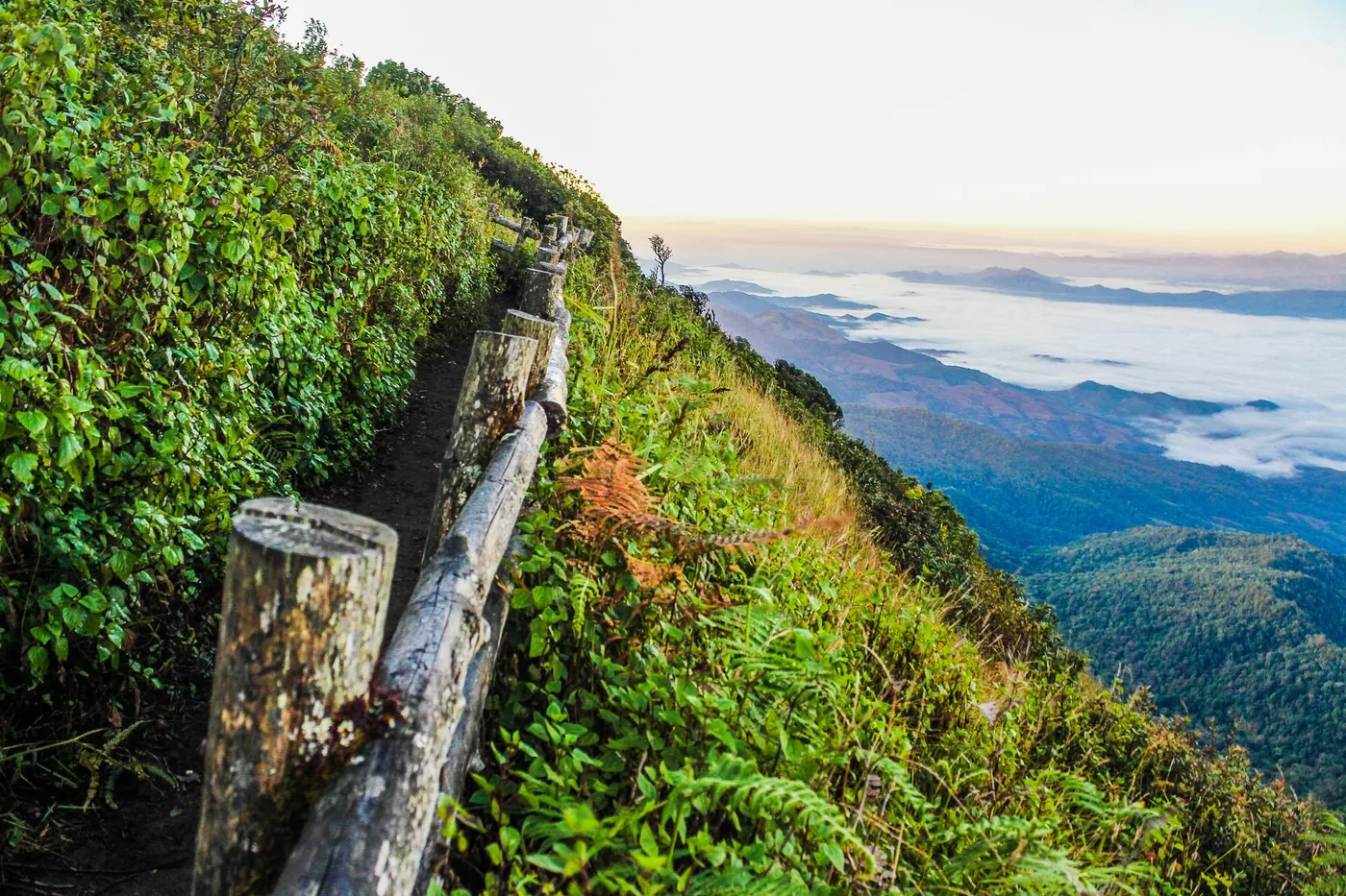 Turistická stezka s výhledem na krkonošské hřebeny