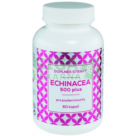 Echinacea: Bylinný dobíječ imunity