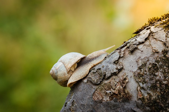 Pevná vůle – vrozená vlastnost nebo schopnost, kterou se lze naučit?